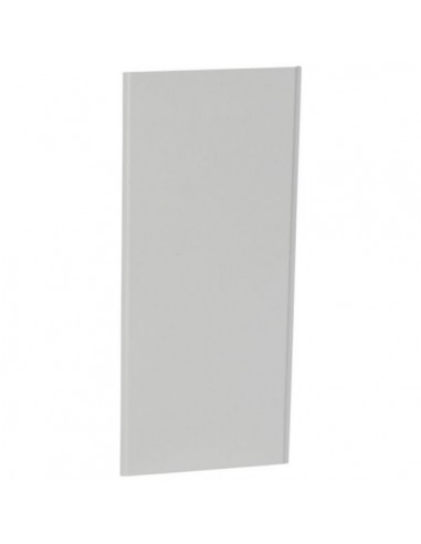 Legrand 401352 - Plaque de fond Drivia 2 rangées