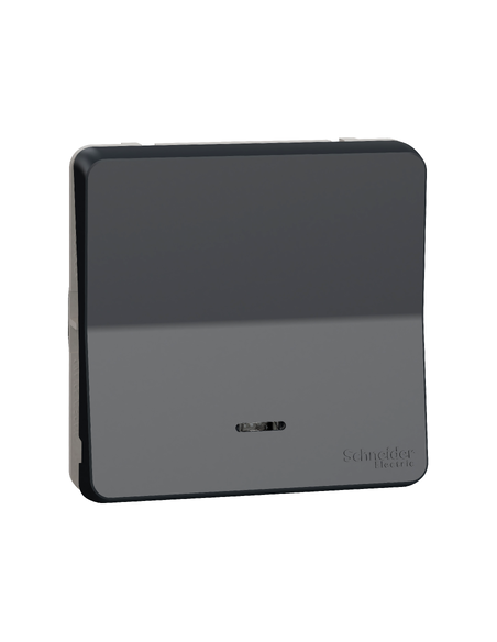Schneider - MUR35025 - Mureva Styl - Va et vient lumineux LED - composable -IP55-IK08 -connex auto-gris
