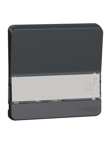 Schneider Electric - MUR34203 - Mureva Styl - Enjoliveur porte étiquette lumineux - IP55 - IK08 - gris