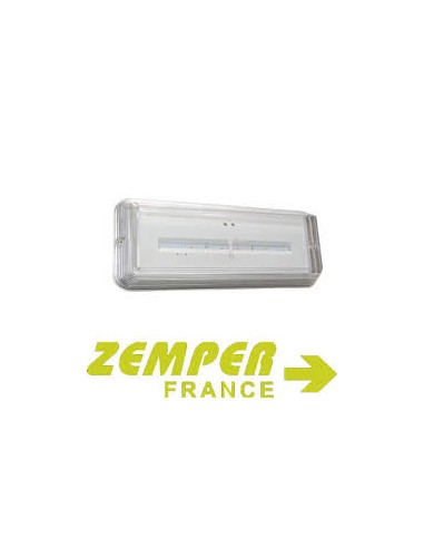 ZEMPER - KAPE0065 - Protection étanche ip65-Ik10 pour XENA FLAT