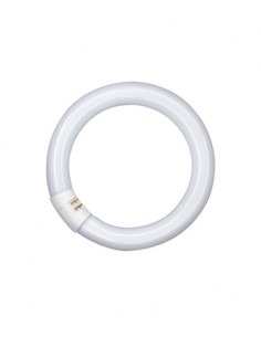 OSRAM - 4008321581068 - T9 Lumilux circulaire 22W/827 C G10Q OSRAM Tube Fluorescent