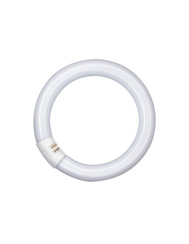 OSRAM - 4008321581068 - T9 Lumilux circulaire 22W/827 C G10Q OSRAM Tube Fluorescent