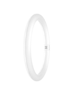 LEDVANCE - 4099854042508 - LED TUBE LEDVANCE VAL T9 EM32 Circ. G10q 830 18,3W 2000lm