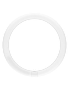 LEDVANCE - 4099854042546 - LED TUBE LEDVANCE VAL T9 EM32 Circ. G10q 865 18,3W 2200lm 2