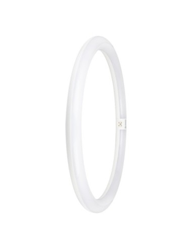 LEDVANCE - 4099854042560 - LED TUBE LEDVANCE VAL T9 EM40 Circ. G10q 840 24W 2900lm