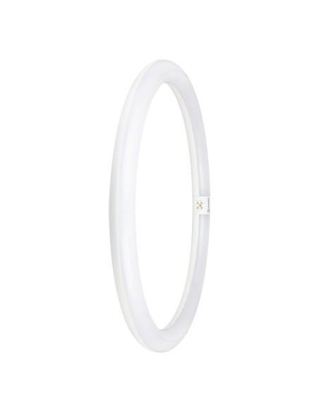 LEDVANCE - 4099854042560 - LED TUBE LEDVANCE VAL T9 EM40 Circ. G10q 840 24W 2900lm