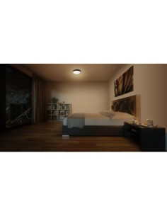 LEDVANCE - 4099854092442 - ORBIS SLIM Moia PLAFONNIER 280mm 20W CHAUD Noir 2