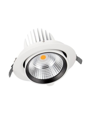 LEDVANCE - 4058075104020 - LDV SPOT VARIO DN170 35W/3000K 3350lm 24° Blanc Spot extractible LEDVANCE