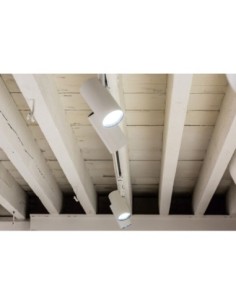 LEDVANCE - 4058075113480 - LDV Track Spot D85 35W/3000K IRC90 24° Blanc 2660lm Spot sur rail LEDVANCE 2