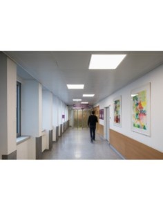 LEDVANCE Panel ECO 600 36W 4000K – Dalle 600x600 2