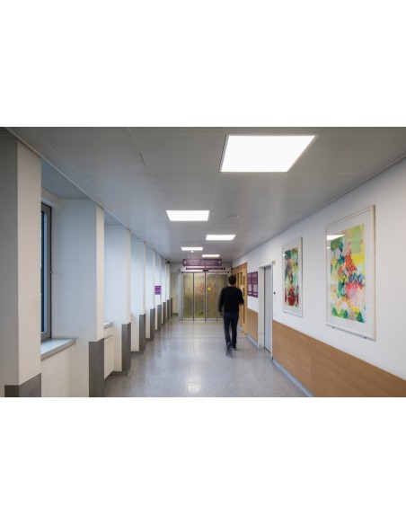 LEDVANCE Panel ECO 600 36W 4000K – Dalle 600x600