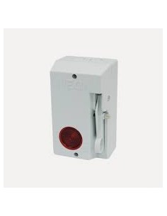 Inter pompier - dispositif de coupure de courant d'urgence pour enseigne lumineuse - Coffret coupure de courant pour pompier