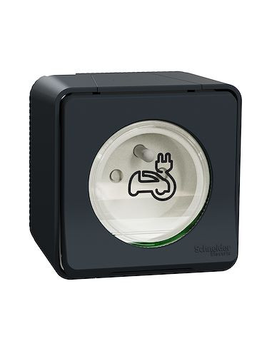 Schneider - MUR36010 - Mureva Styl - Prise courant 2P+T renforcée pour VE - IP55 IK08 - saillie - gris