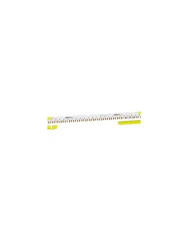 SCHNEIDER - A9XPC624 - Peigne Clario iC40, 1P+N, 24 modules, 80 A