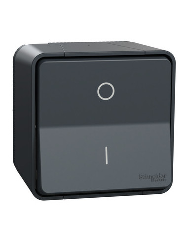 Schneider - MUR35033 - Mureva Styl - Interrupteur bipolaire - saillie - IP55 - IK08 - connexion auto - gris