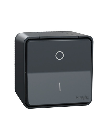 Schneider - MUR35033 - Mureva Styl - Interrupteur bipolaire - saillie - IP55 - IK08 - connexion auto - gris
