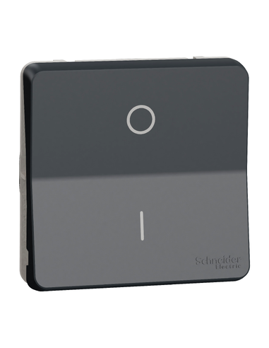 Schneider - MUR35034 - Mureva Styl - Interrupteur bipolaire - composable - IP55 - IK08 - connexion auto - gris