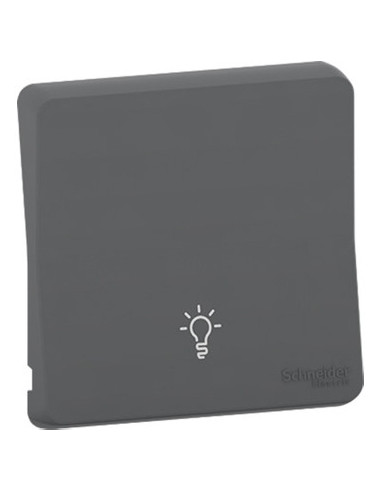 Schneider Electric - MUR34202 - Enjoliveur symbole lumière Mureva Styl IP55 IK08 gris
