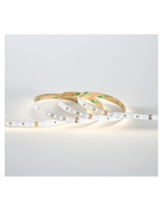 Miidex 100409 - BANDEAU BLC 4000K 5M 60LED ET 9W/M IP20 12V