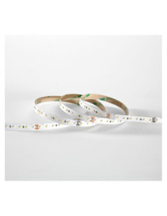 Miidex 100409 - BANDEAU BLC 4000K 5M 60LED ET 9W/M IP20 12V 2