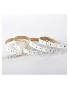 Miidex 100412 - BANDEAU RGB + 6000K 5M 60LED ET 9W/M IP20 12V 2