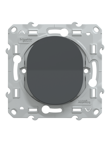 Permutateur Ovalis 10AX anthracite Schneider S340205