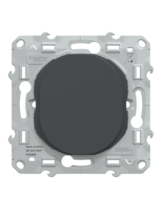 Schneider S340666 Ovalis obturateur anthracite 2