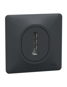 Schneider S340496 Ovalis prise téléphone en T anthracite