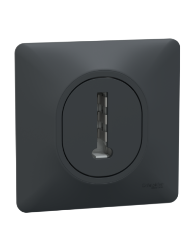 Schneider S340496 Ovalis prise téléphone en T anthracite