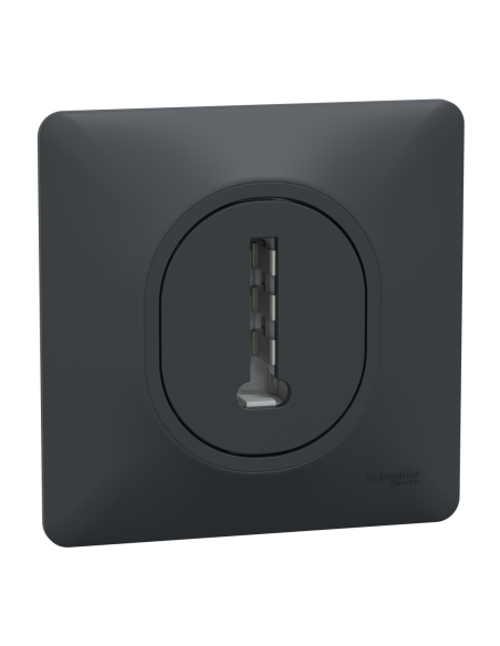 Schneider S340496 Ovalis prise téléphone en T anthracite