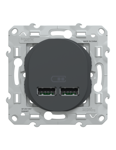 Double chargeur USB A+A 10,5W Ovalis anthracite Schneider S340407