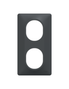 Schneider S340724 Ovalis plaque 2 postes verticale anthracite 2