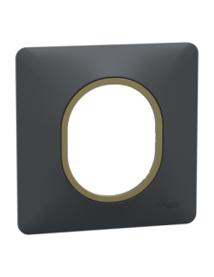 Schneider S340702E Ovalis plaque 1 poste anthracite bague laiton