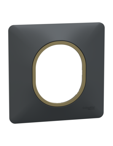 Schneider S340702E Ovalis plaque 1 poste anthracite bague laiton