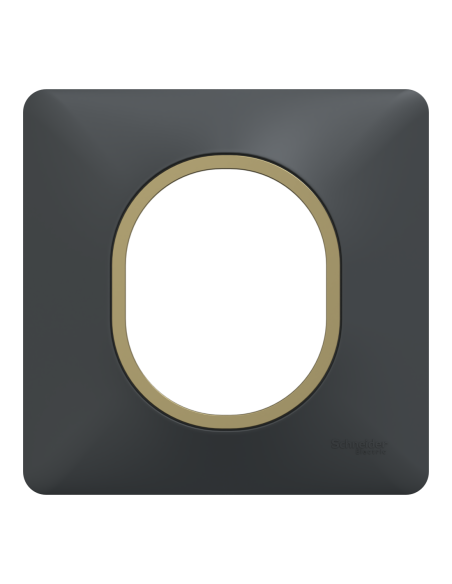Plaque 1 poste anthracite bague laiton Ovalis Schneider S340702E