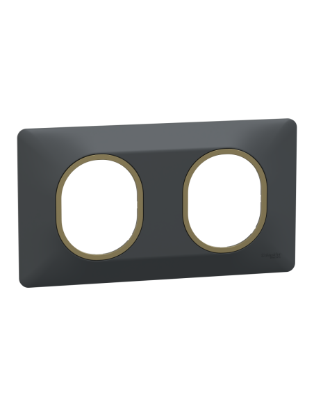 Schneider S340704E Ovalis plaque 2 postes anthracite bague laiton