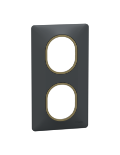 Schneider S340724E Ovalis plaque 2 postes verticale anthracite bague laiton
