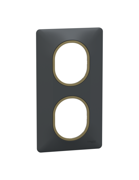 Schneider S340724E Ovalis plaque 2 postes verticale anthracite bague laiton