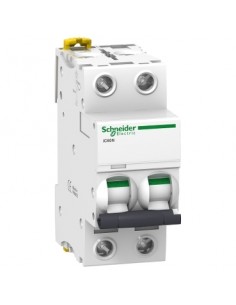 Disjoncteur Schneider iC60N 2P 20A courbe C A9F77220 | Acti9