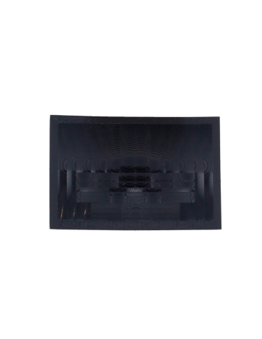 Ajax AJ-MOTIONPROTECT-B-LENS | Lentille noire
