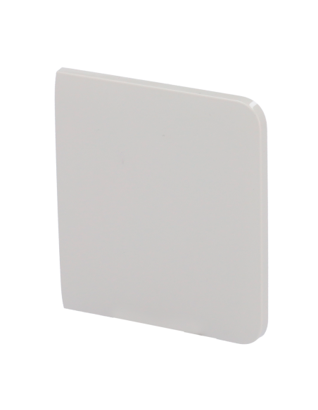 Ajax AJ-SIDEBUTTON-1G2W-OYS | SideButton huître